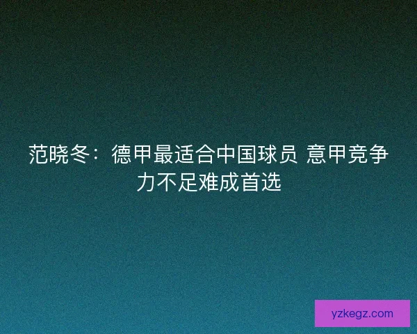 范晓冬：德甲最适合中国球员 意甲竞争力不足难成首选